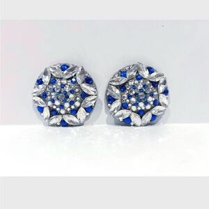 Elegant Silver and Blue Pasties